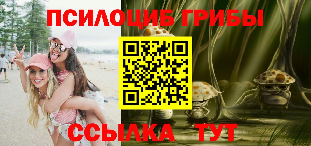 Лесосибирск  Галлюциногенные грибы Psilocybe  Вход с VPN 